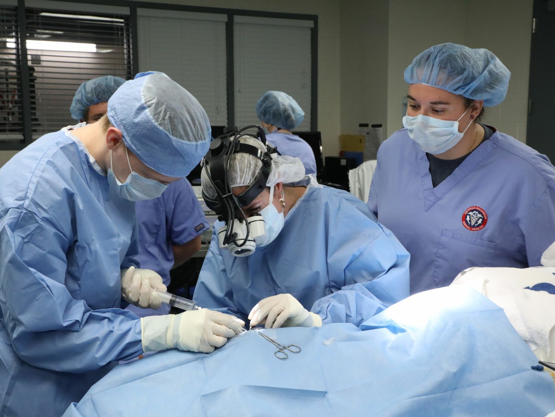 HELPINGHUNTER PHOTOS Aquarium